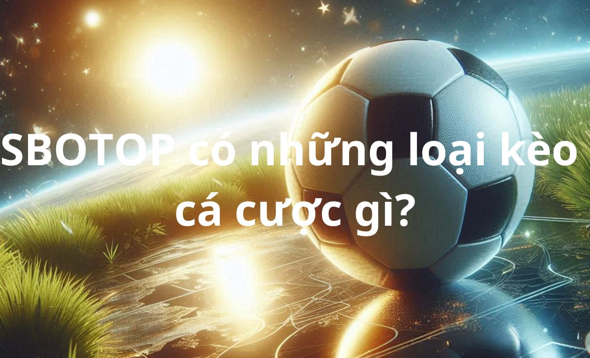 SBOTOP có những loại kèo cá cược gì?