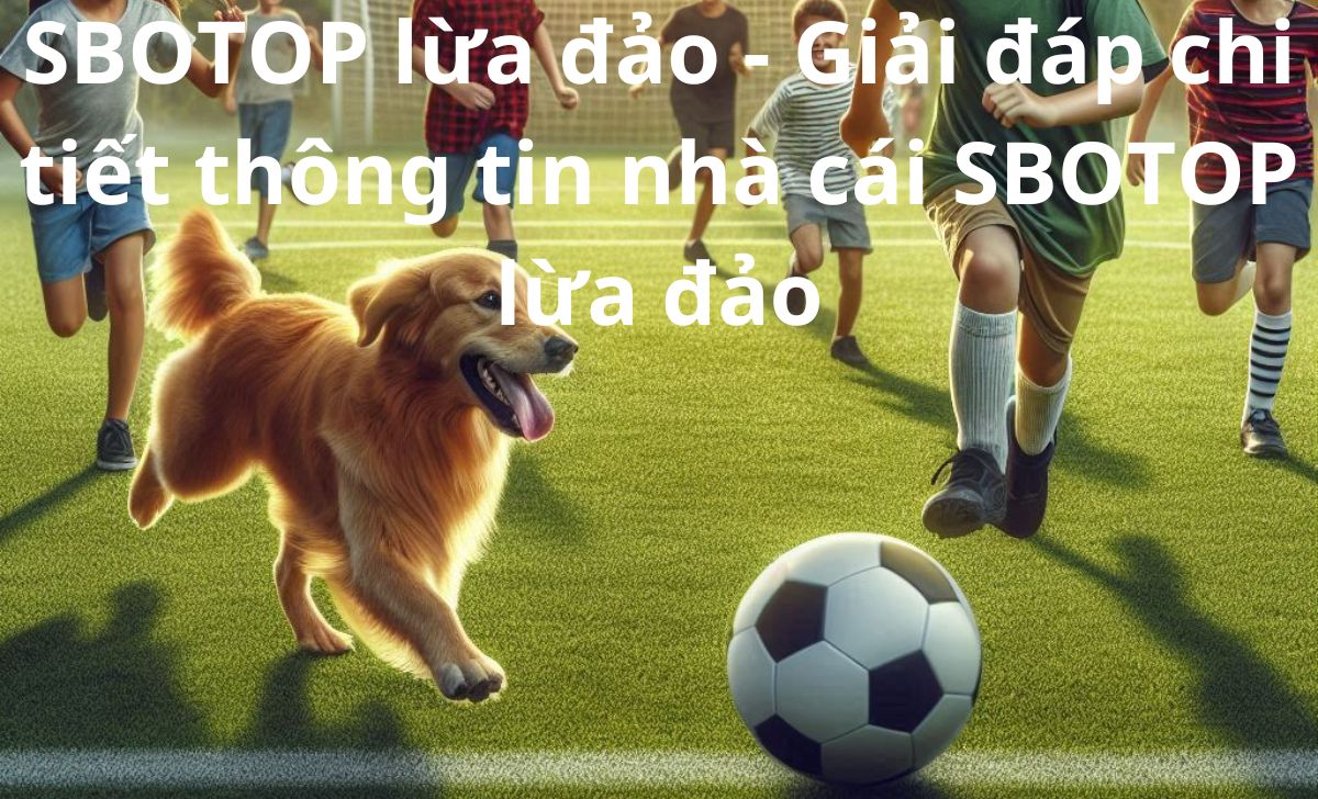 SBOTOP lừa đảo - Giải đáp chi tiết thông tin nhà cái SBOTOP lừa đảo